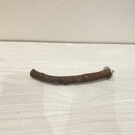 自然木（ツタ）パーチ②  16.5㎝　直径1.8㎝