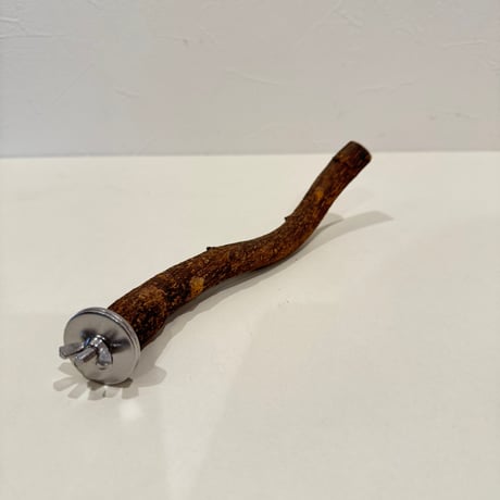 自然木（ツタ）パーチ 直径約1.8cm/長さ19cm