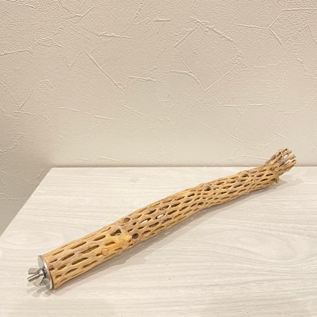 カクタスパーチ①  極小 直径約3cm 長さ34cm