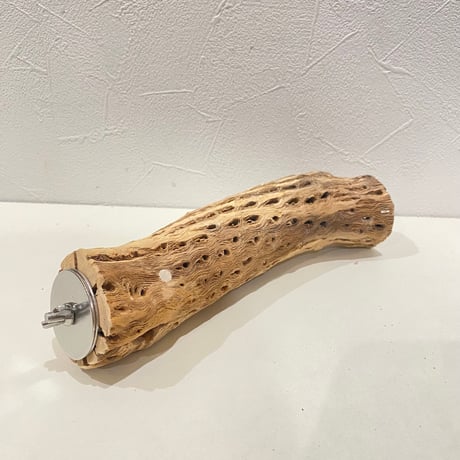 カクタスパーチ(N) 直径約4.5cm/長さ21cm