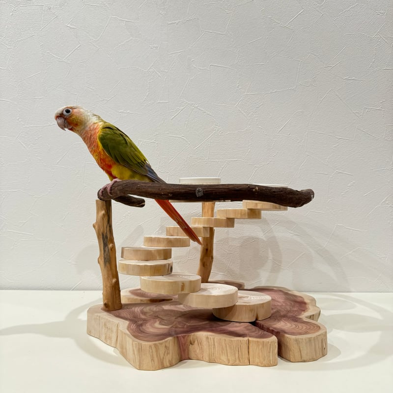 ツタと螺旋階段のおやつ入れ付きスタンドパーチ【インコのおもちゃ