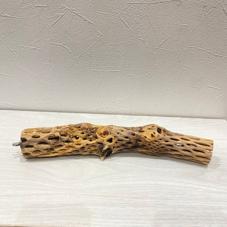 カクタスパーチ⑰ 小サイズ長さ28cm