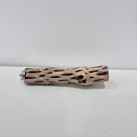 カクタスパーチ極小サイズ⑯ 直径約3cm/長さ15cm【自然木 止まり木 バンブルフット 趾瘤症 】