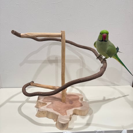 ツタのぐるぐるバードアスレチック 【インコ 天然木 自然木 パーチ 止まり木】