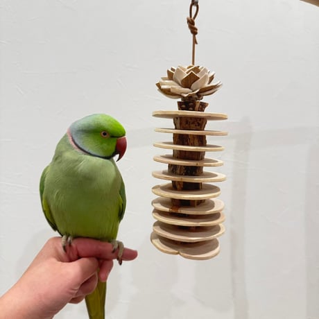 桧スライスとマホガニーのケバブ Mサイズ【インコのおもちゃ ストレス発散 自然木】