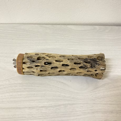 カクタスパーチ⑦ 中サイズ 直径（約5.5cm）長さ/15cm