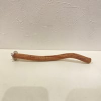 自然木（ツタ）パーチ⑩  直径約1.6cm/長さ23cm