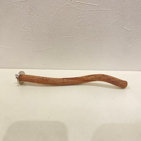 自然木（ツタ）パーチ⑩  直径約1.6cm/長さ23cm