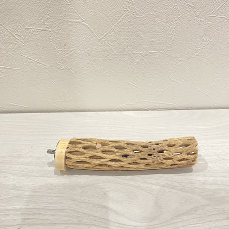 カクタスパーチ②  極小 直径3cm前後 長さ15cm