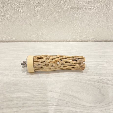 カクタスパーチ【12】 極小 直径3cm前後 長さ10cm