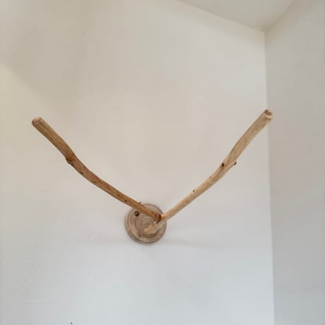 桧のピノキオの鼻②