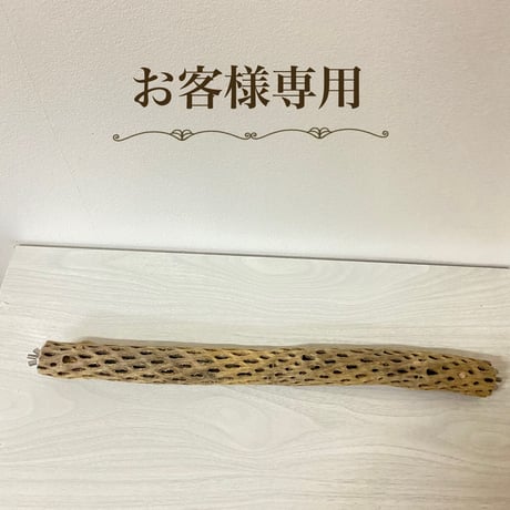 【T様専用】ケージサイズカクタスパーチ 小サイズ直径4cm HOEI465サイズ