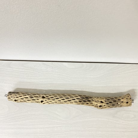 【S様専用】ケージサイズカクタスパーチ 小サイズ直径約4cm HOEI465サイズ