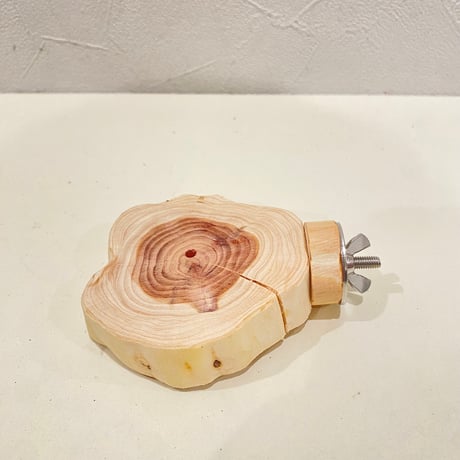 貝塚伊吹テーブルパーチ  ④