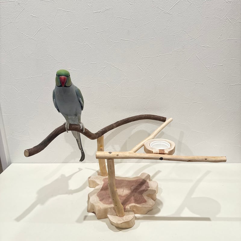 ツタと桧のおやつ入れ付きスタンドパーチ 【インコ 自然木 止まり木