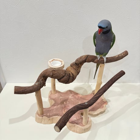ゴツゴツワイルドなツタのスタンドパーチ
