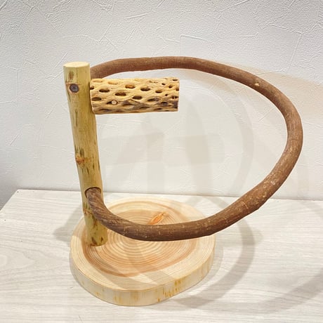 ツタのぐるりんスタンドパーチ①　カクタス付き