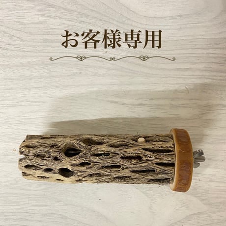 【okameinkoclub様専用】カクタスパーチ小直径（3～4cm）／12cm