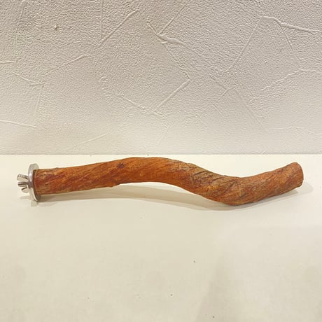 自然木（ツタ）パーチ 直径約2cm/長さ21cm