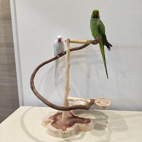ツタと螺旋階段のぐるりんスタンドパーチ【インコのおもちゃ・バードアスレチック】