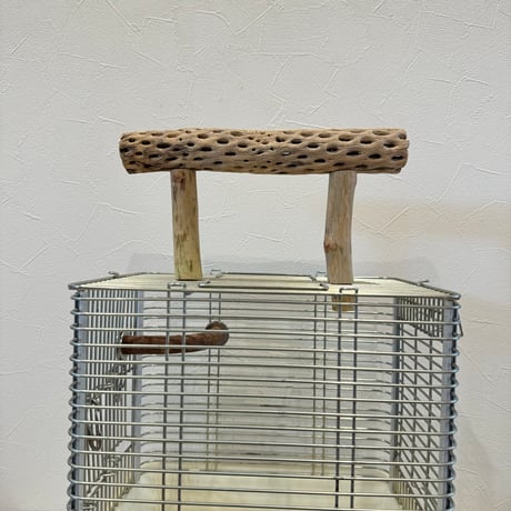 使い方いろいろ 屋上カクタスパーチ【2】 小25cm