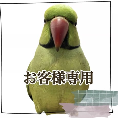 【otama1010様専用】