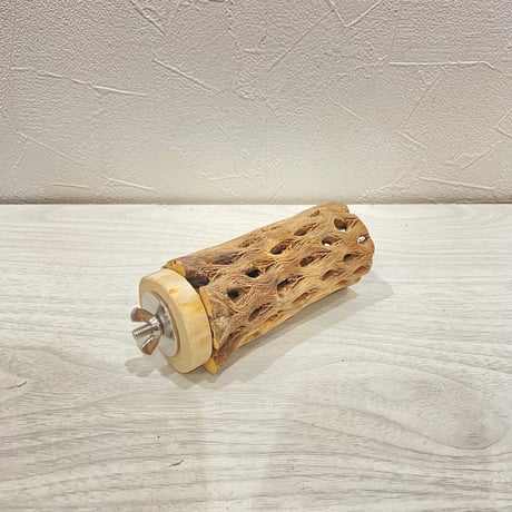 カクタスパーチ【1】直径4~5cm/長さ10cm