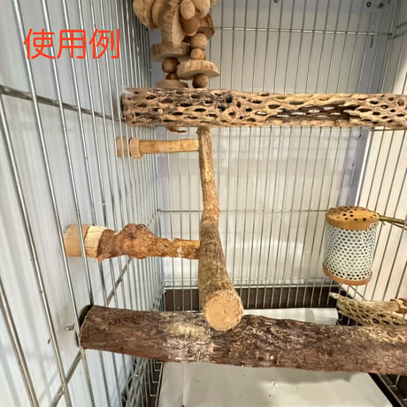 使い方いろいろ 屋上ツタパーチ【4】  横25cm 高さ8cm