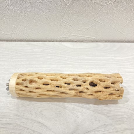 カクタスパーチ【5】小 直径約3.5cm 長さ15cm