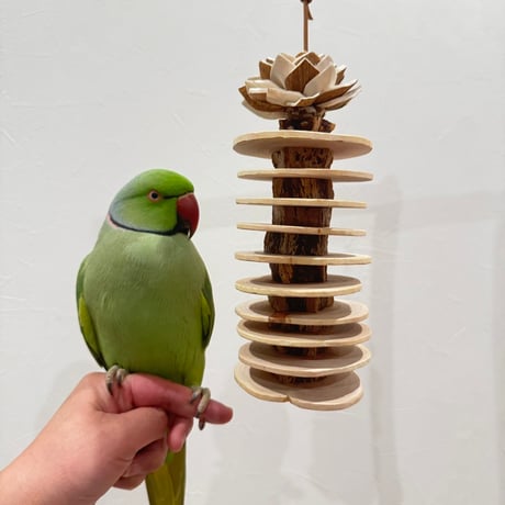桧スライスとマホガニーのケバブ Mサイズ【インコのおもちゃ ストレス発散 自然木】