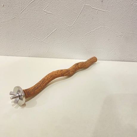 自然木（ツタ）パーチ 直径約1.5cm/長さ20cm