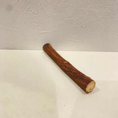 自然木（ツタ）パーチ 直径2cm/長さ18cm