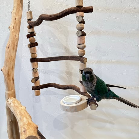 【小型・中型向け】梯子とハイジのブランコ【インコのおもちゃ・自然木のとまり木】