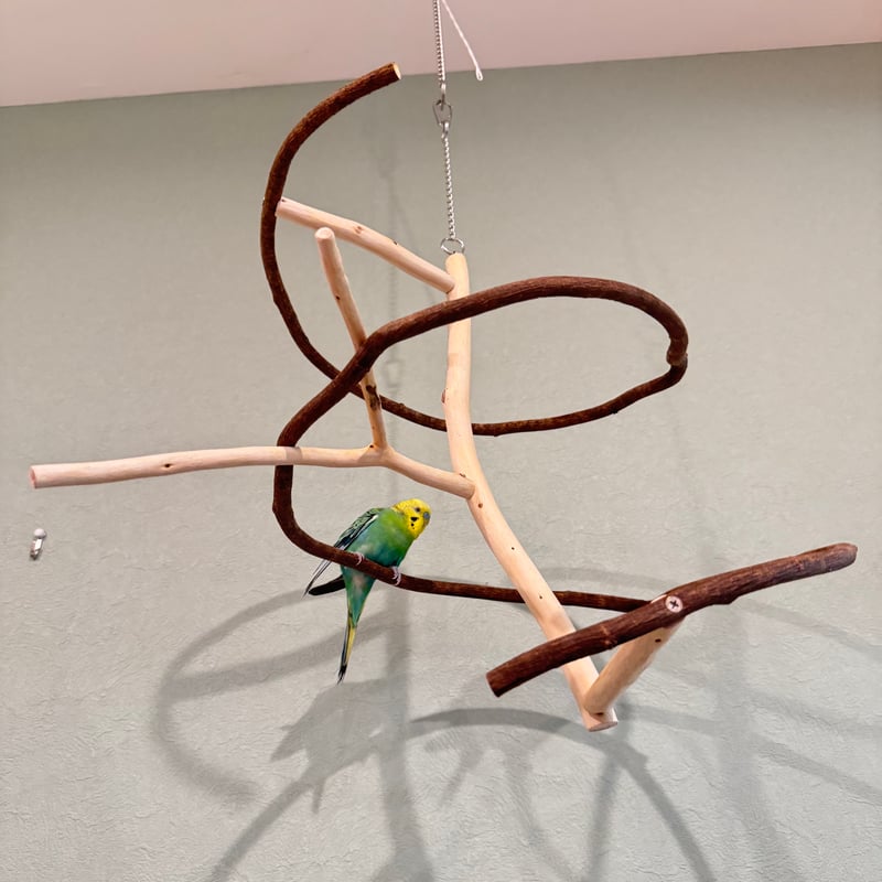 マロ小鳥の楽園バードアスレチックツリージム③ マロ様専用小鳥の楽園バードアスレチックツリージム③