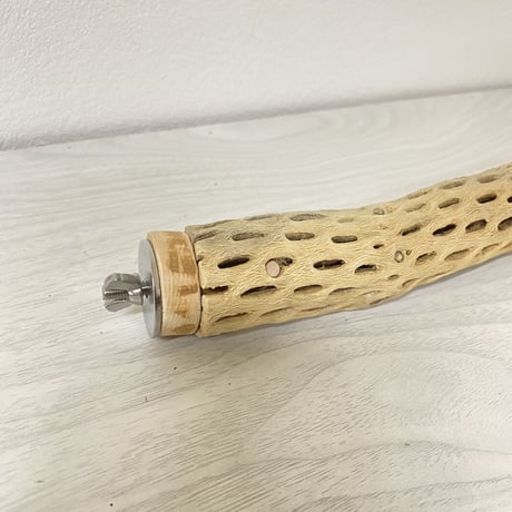 カクタスパーチ② 小サイズ 直径（約3-4cm）長さ/22cm
