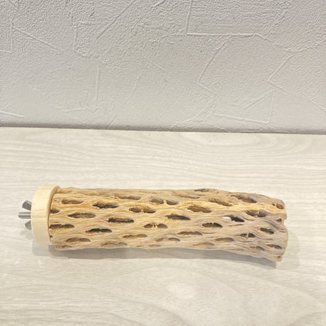 カクタスパーチ⑦  小　直径4cm前後 長さ15cm