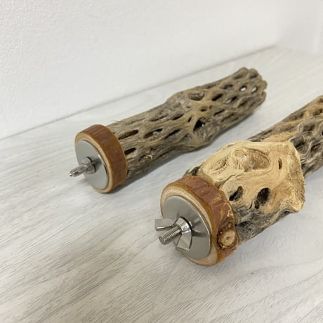 【kyi_oto様専用】カクタスパーチ 小サイズ 直径（約3-4cm）長さ/15cm