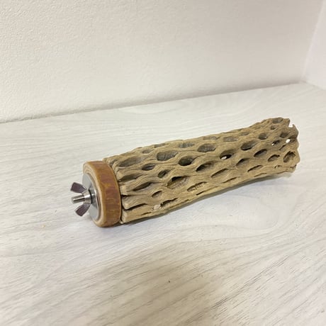 カクタスパーチ⑦ 中サイズ 直径（約5.5cm）長さ/15cm