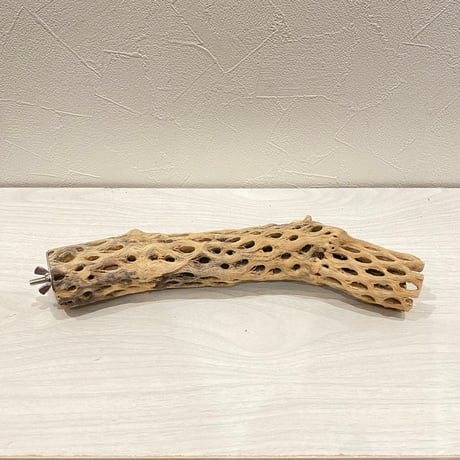 カクタスパーチ【32】直径4~5cm/長さ25cm