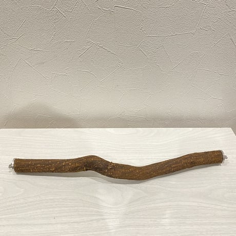 殿様パーチ（自然木ツタ）⑪HOEI465サイズ 直径3cm