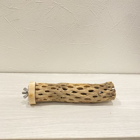 カクタスパーチ【17】 小直径3.5cm/15cm