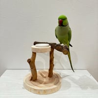 おやつ入れ付き自然木スタンドパーチ