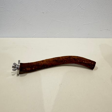 自然木（ツタ）パーチ 直径約1.7cm/長さ16cm