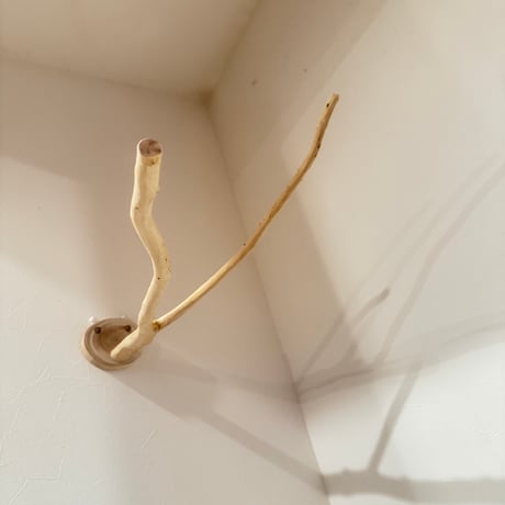 貝塚伊吹のピノキオの鼻② 【インコの止まり木 自然木 天然木】