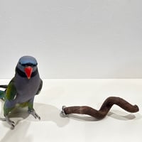 自然木（ツタ）うねうねパーチ②【自然木　止まり木 バンブルフット予防 】