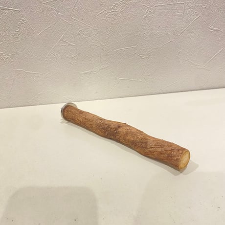 自然木（ツタ）パーチ⑦  直径約2.2cm/長さ20cm