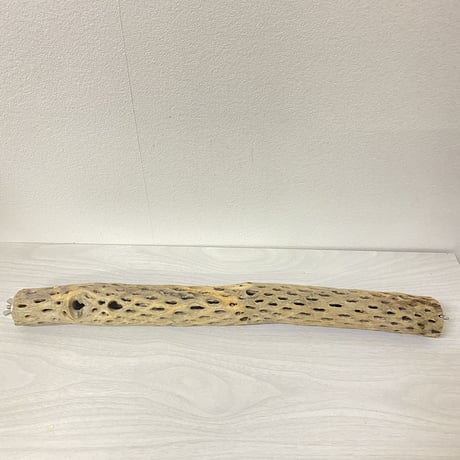 ケージサイズカクタスパーチ②  小直径3-4cm HOEI465サイズ