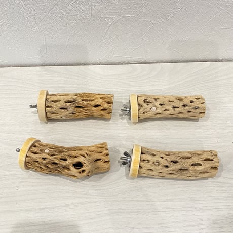 【＊おかゆ＊様専用】カクタスパーチ 小サイズ10cm