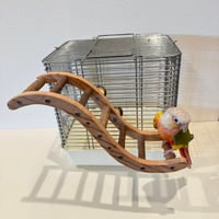 ウェーブラダー ハシゴ 【自然木の止まり木 インコのおもちゃ】