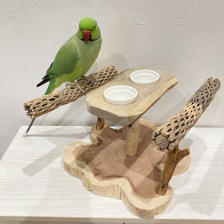 カクタスのおやつ入れ付きスタンドパーチ【C】